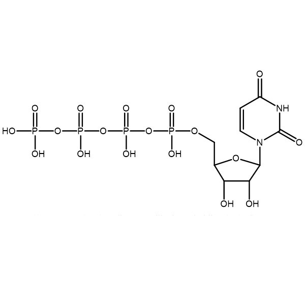 尿苷 5'-四磷酸