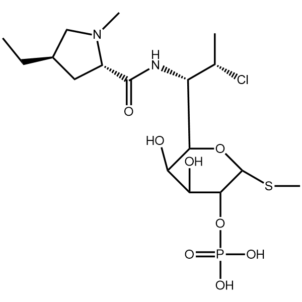 克林霉素磷酸酯B2