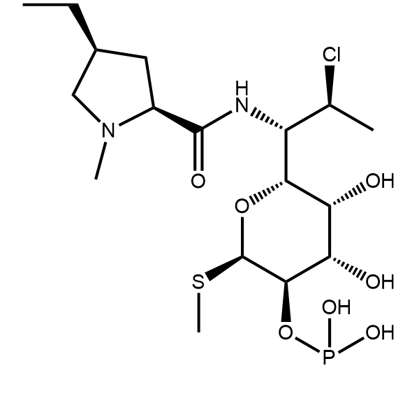 克林霉素B 2-磷酸